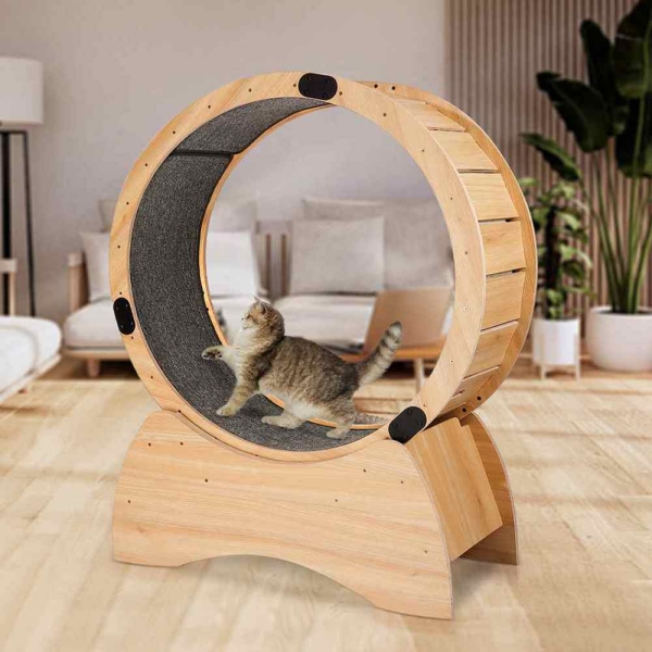 Wooden Cat Exercise Wheel Great for Physical Activity