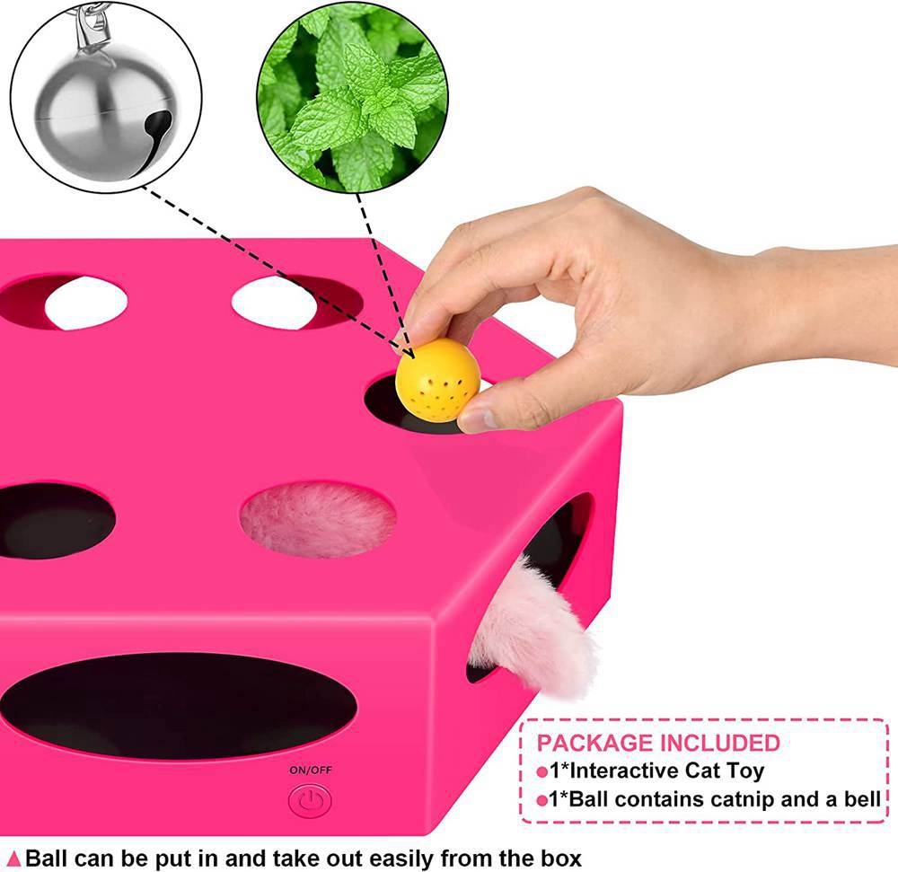 Electrical-Plastic-Cat-Maze-Box-Toy