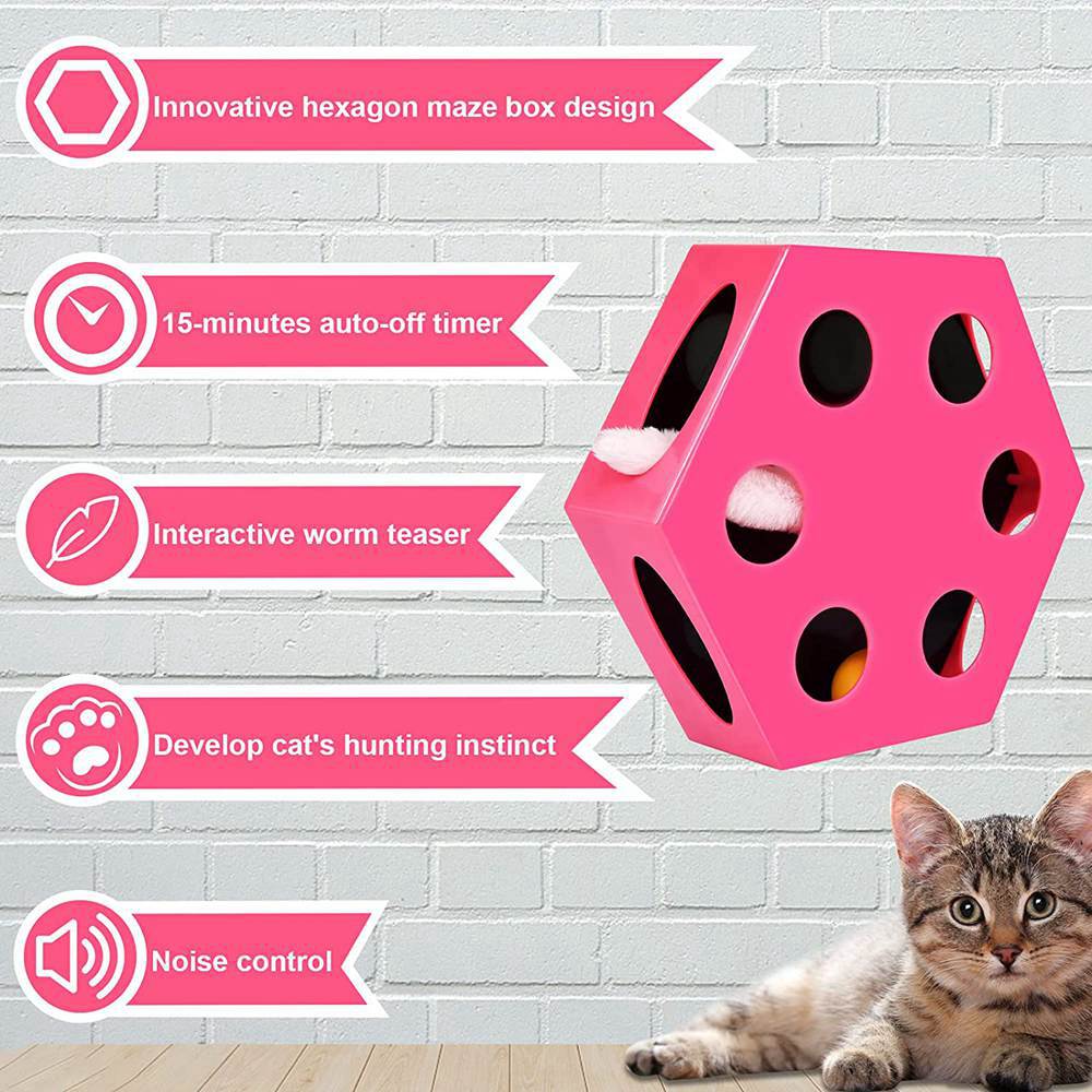 Electrical-Plastic-Cat-Maze-Box-Toy