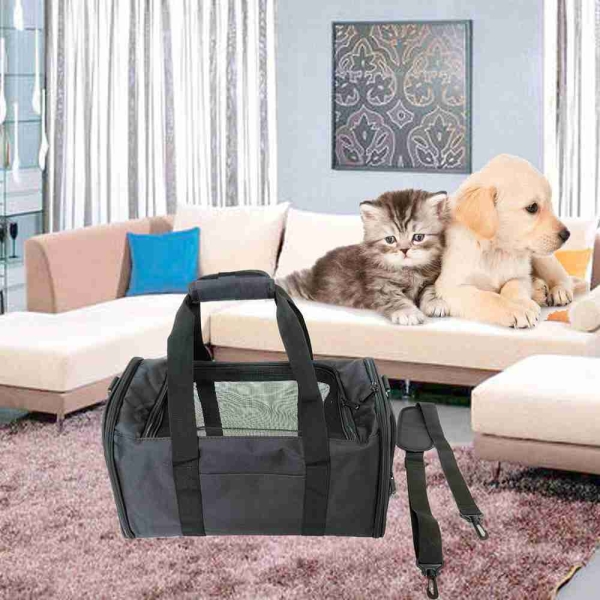 Soft-Sided Collapsible Travel Dog Bag