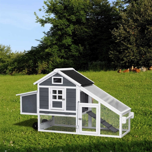 Removable Tray Outdoor Chicken Hutch