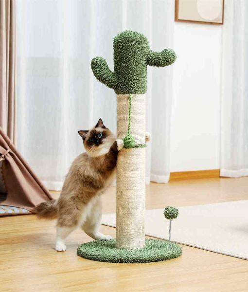 Best Cat Scratching Post With Natural Sisal Ropes