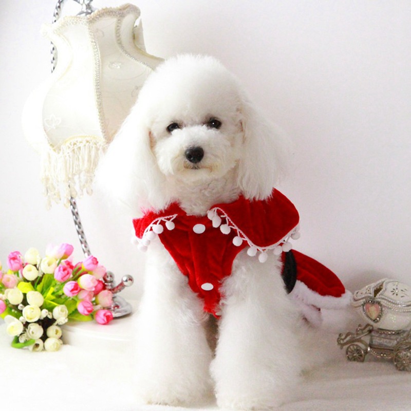 What are the Christmas Outfits for Female Dogs？