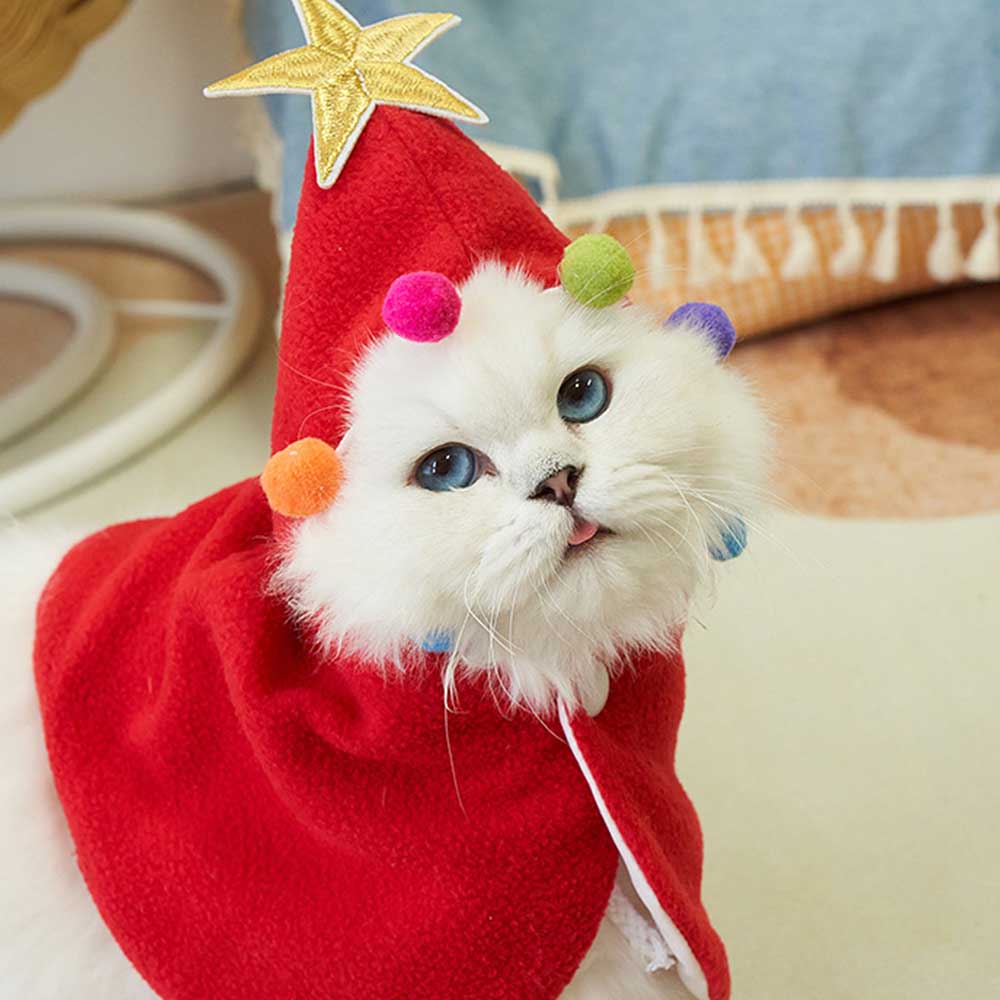 How to Choose a Christmas Cape for Your Pet