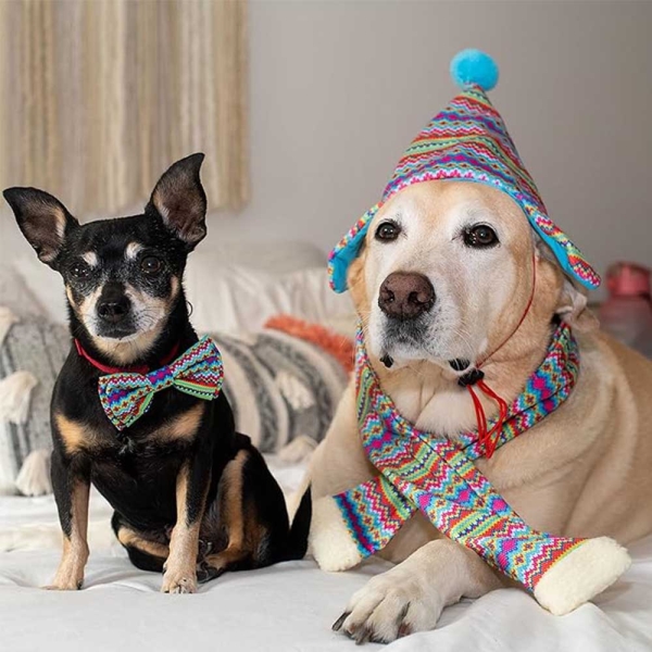 Washable Easy Attachment Fun Christmas Holiday Hat for Dogs and Cats