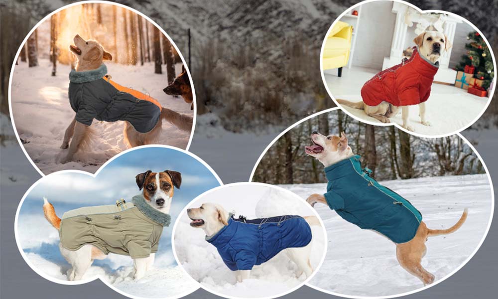 Fleece Lining Reflective Waterproof Warm Dog Coats