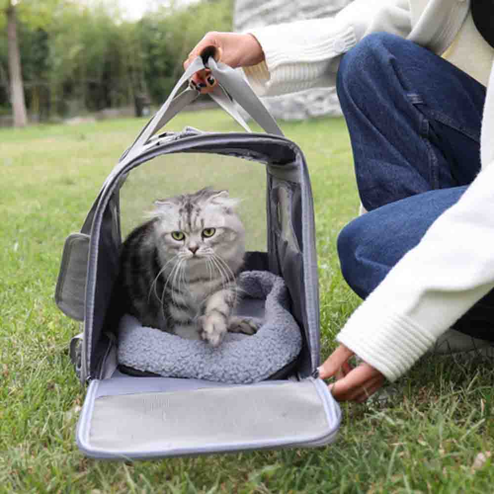 What are the Foldable and Breathable Travel Cat Bags?
