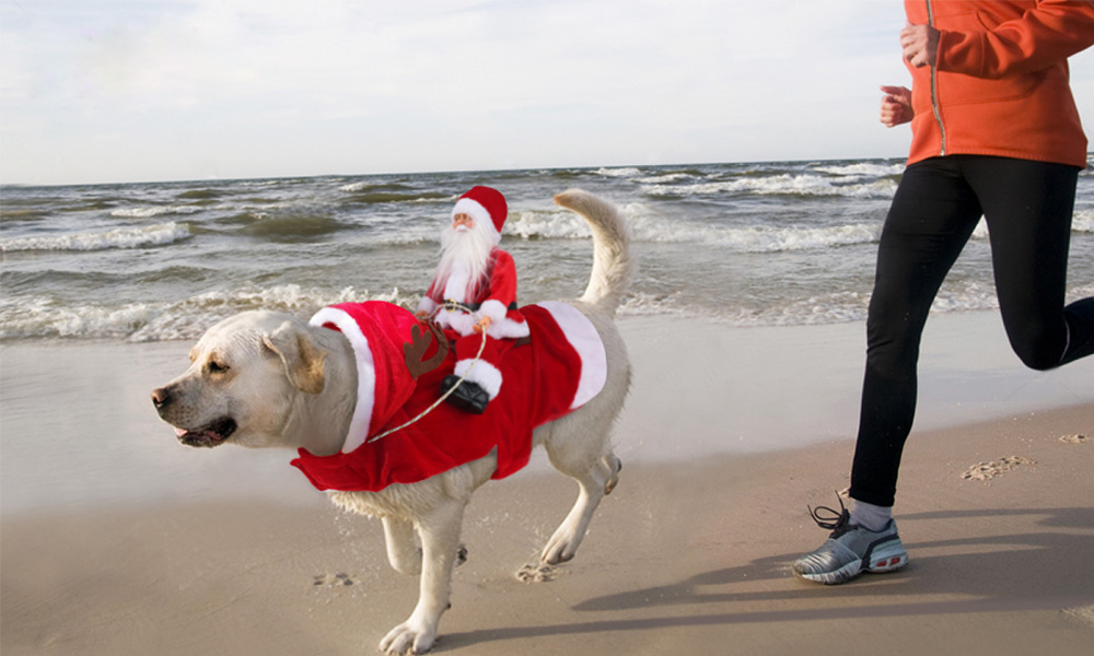 How to Choose a Pet Santa Claus Costume？