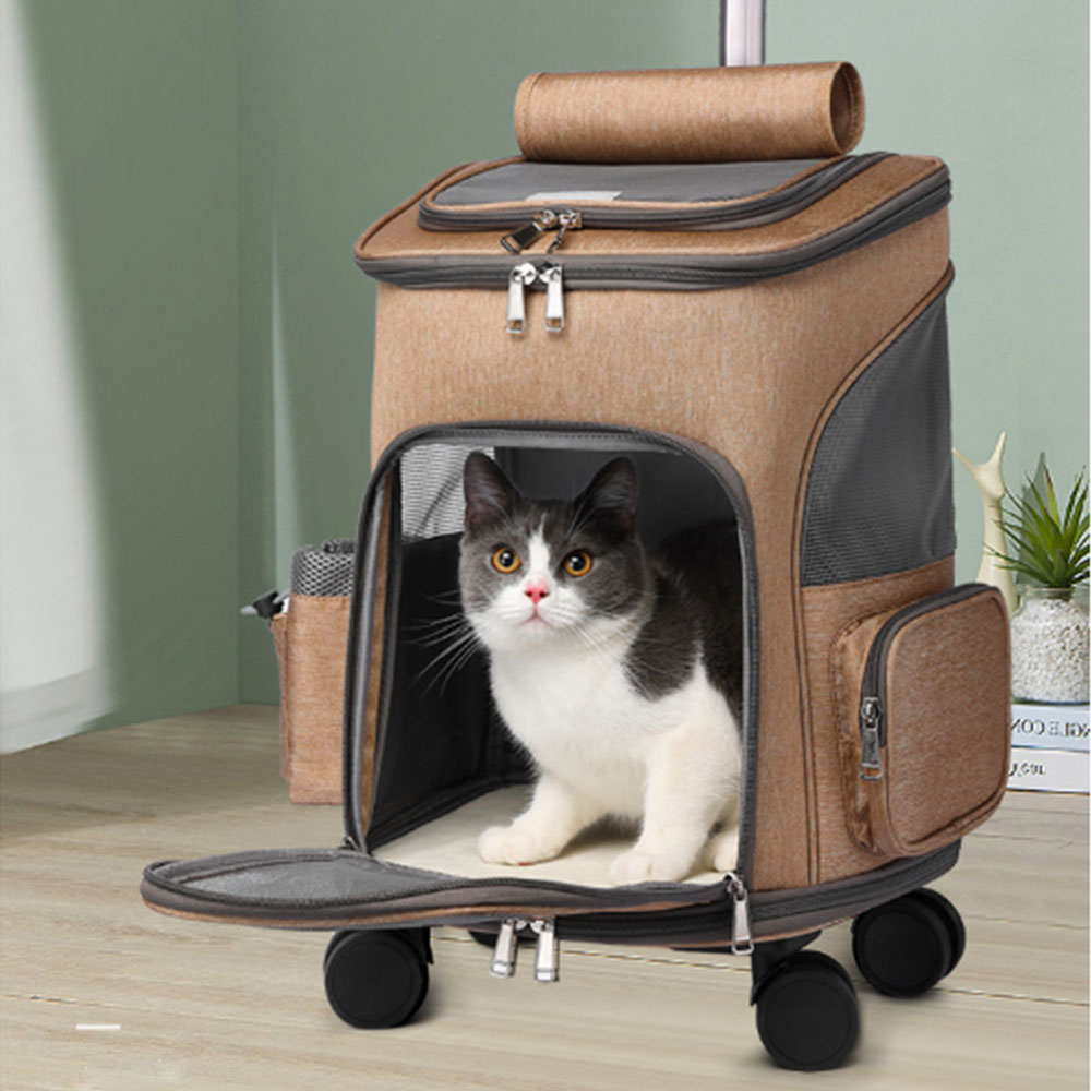 pet backpack with detachable wheels